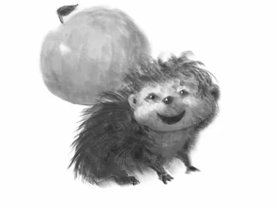 Hedgehog sketch