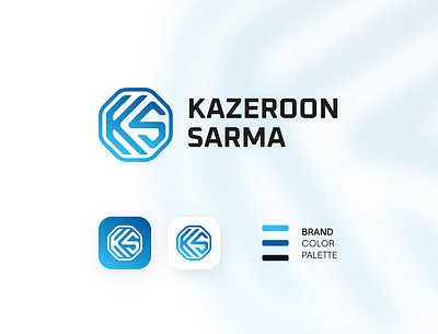 Kazeroon Sarma logo design branding graphic design iconic logo logo logoicon logotype simple logo snow logo