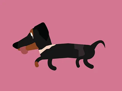 Dachshund illustration illustrator vector