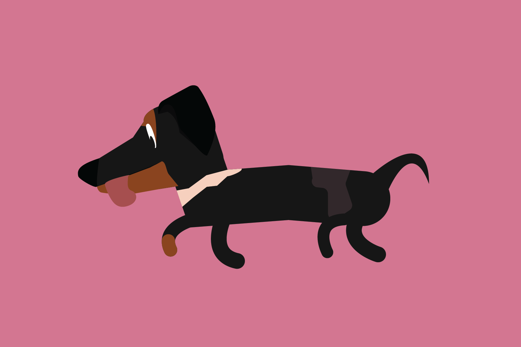 Dachshund