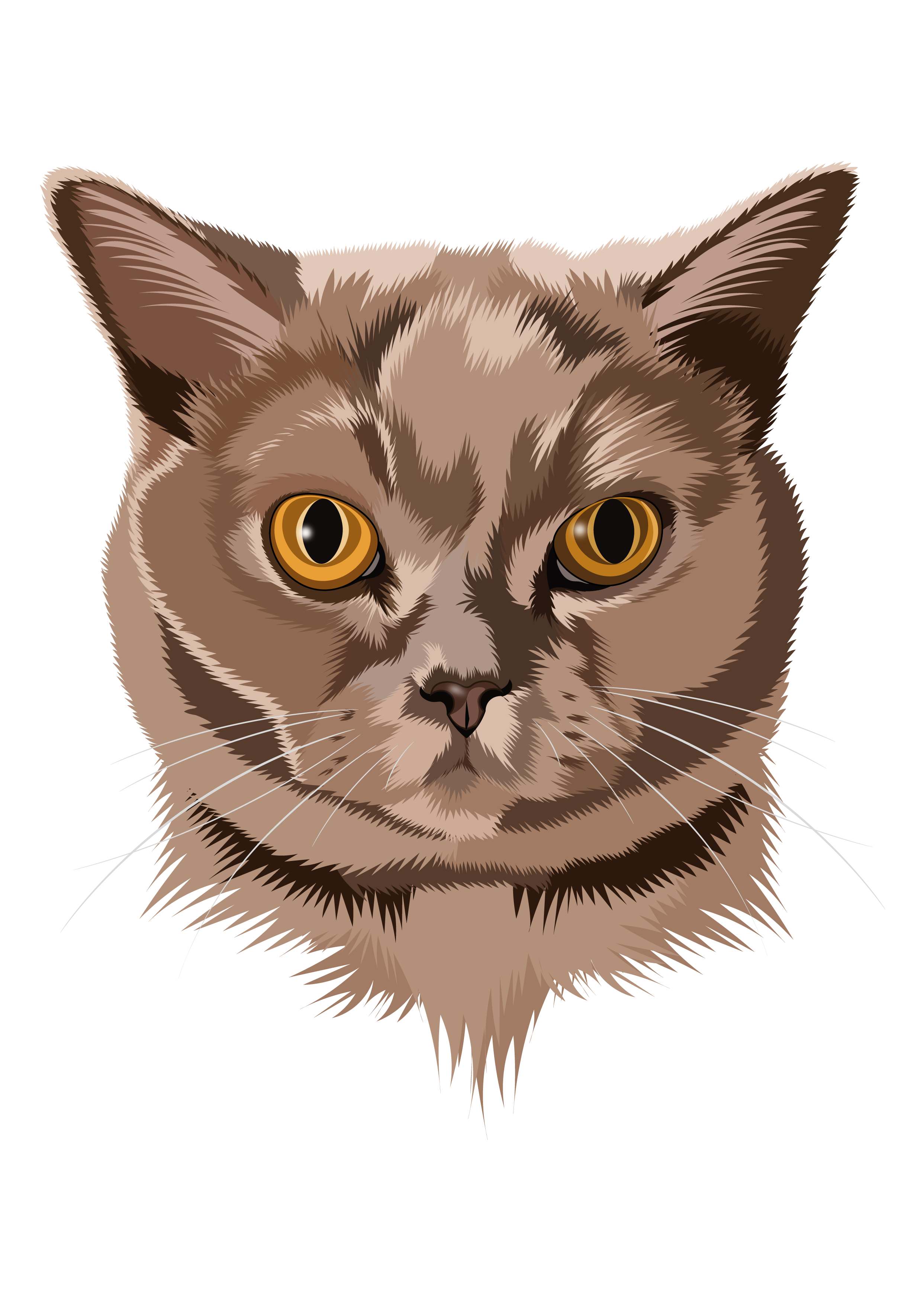 Amber Eyes art cat digitalart illustration merch portrait vector
