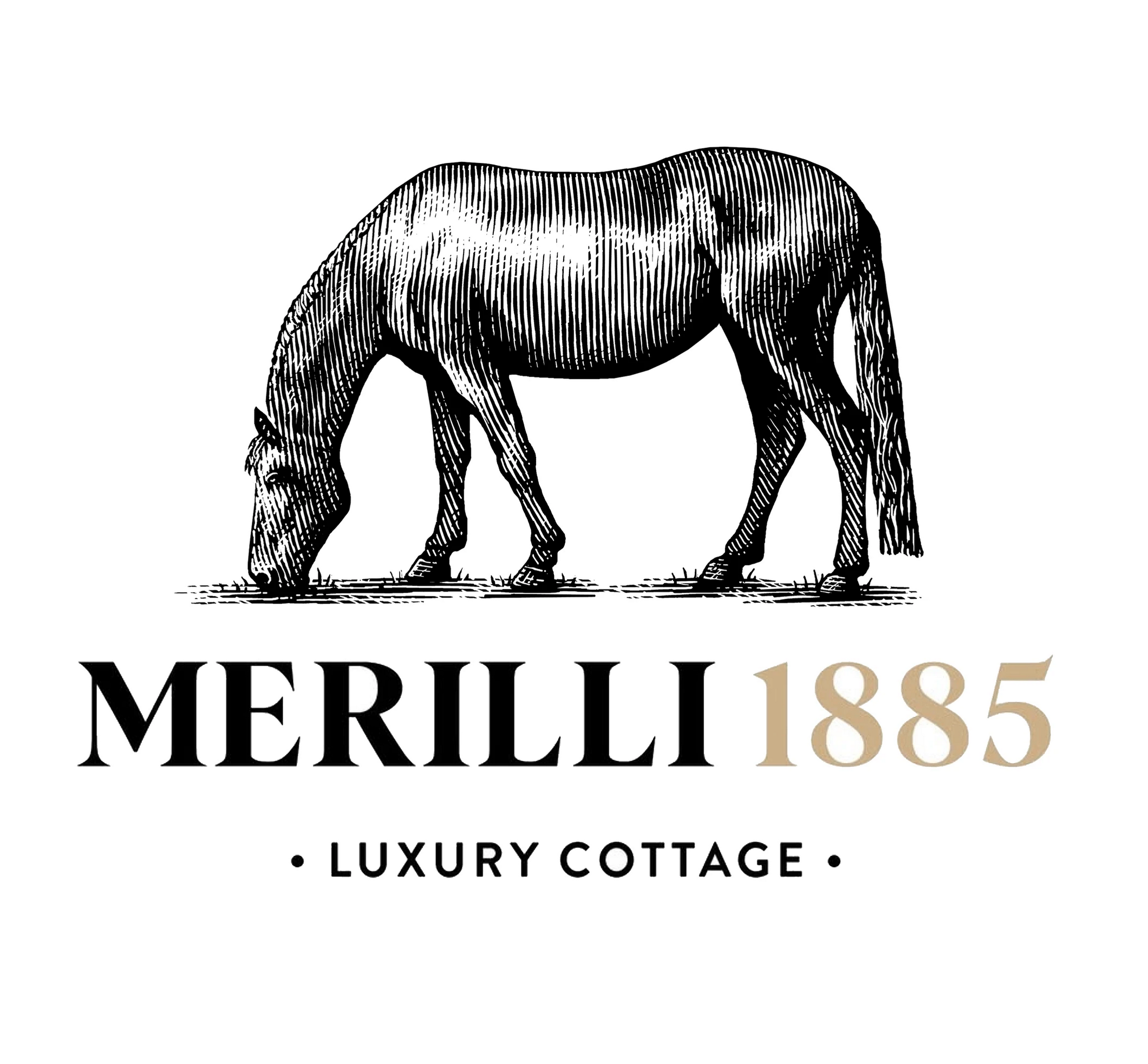 Merilli 1885 Logo Mark Illustrated by Steven Noble artwork branding design engraving etching illustration line art logo scratchboard steven noble visual identity woodcut