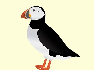 Puffin affects after after effects animation effects illustration illustrator joystick joystick n sliders motion graphics puffin sliders vector