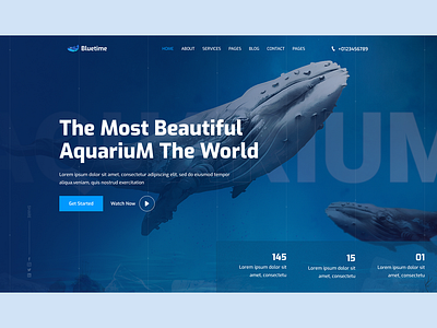 Aquarium Landing page ag agency animal landing page aquarium aquarium landing page best work business cleaning company corporate good work kingfish landing page landing page the deer landing page web site design website design