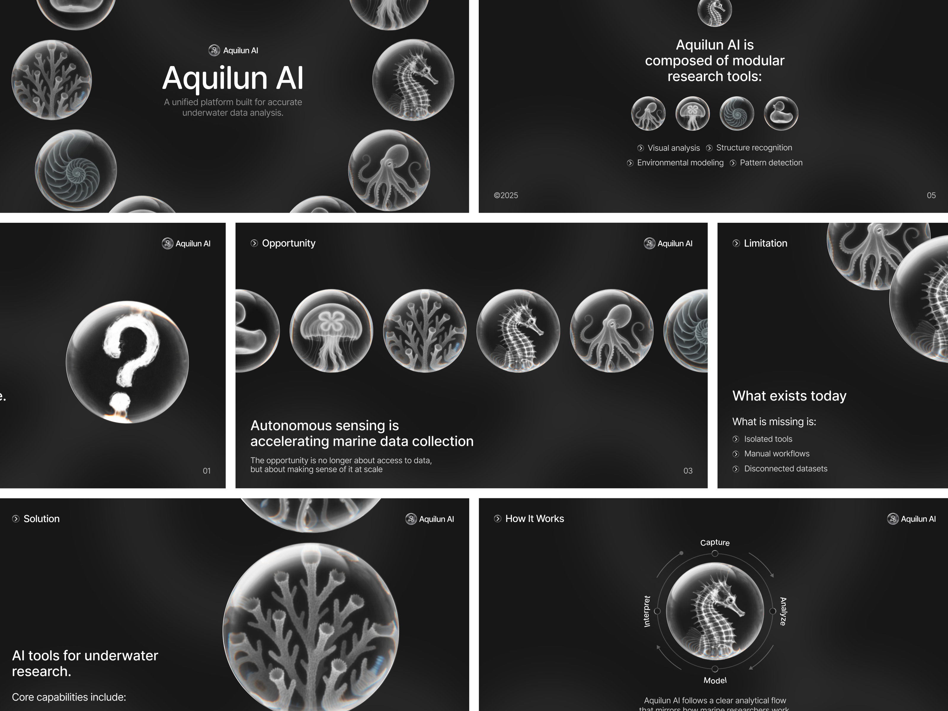 Example of Presentation/ Investor Pitch Deck