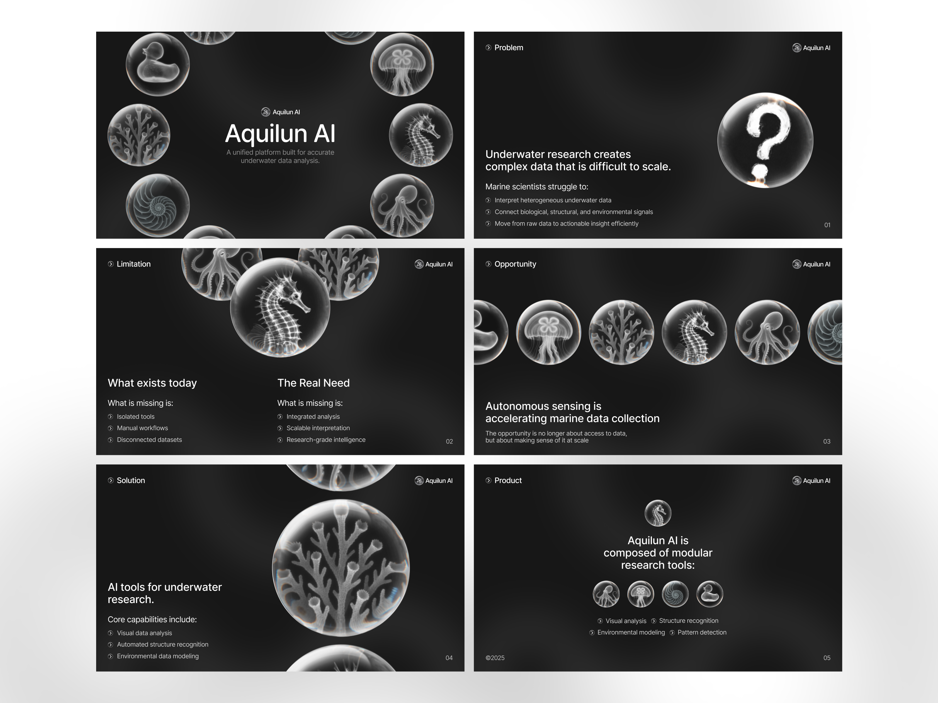 Example of Presentation/ Investor Pitch Deck