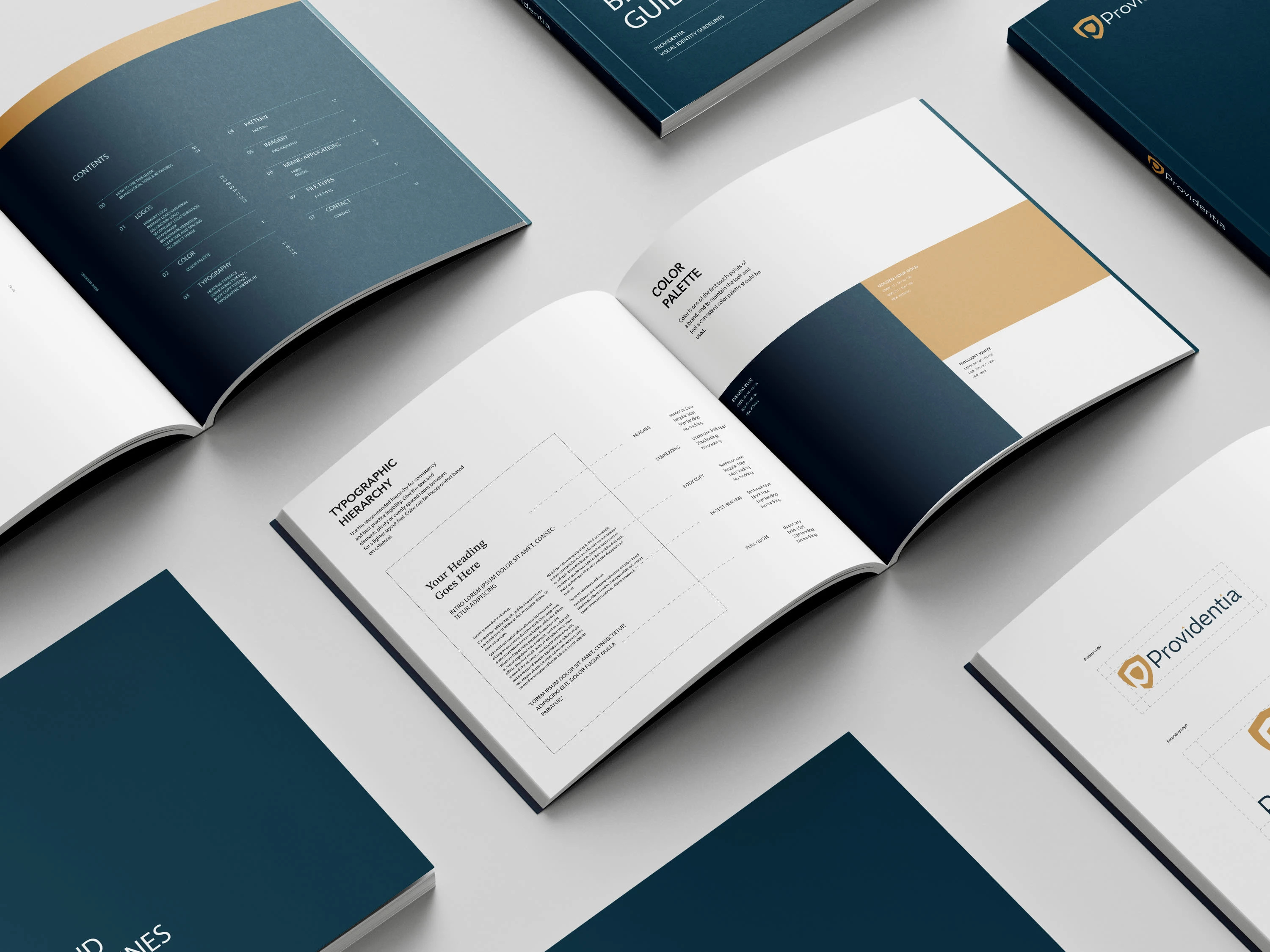 Providentia Asset Management Brand Identity