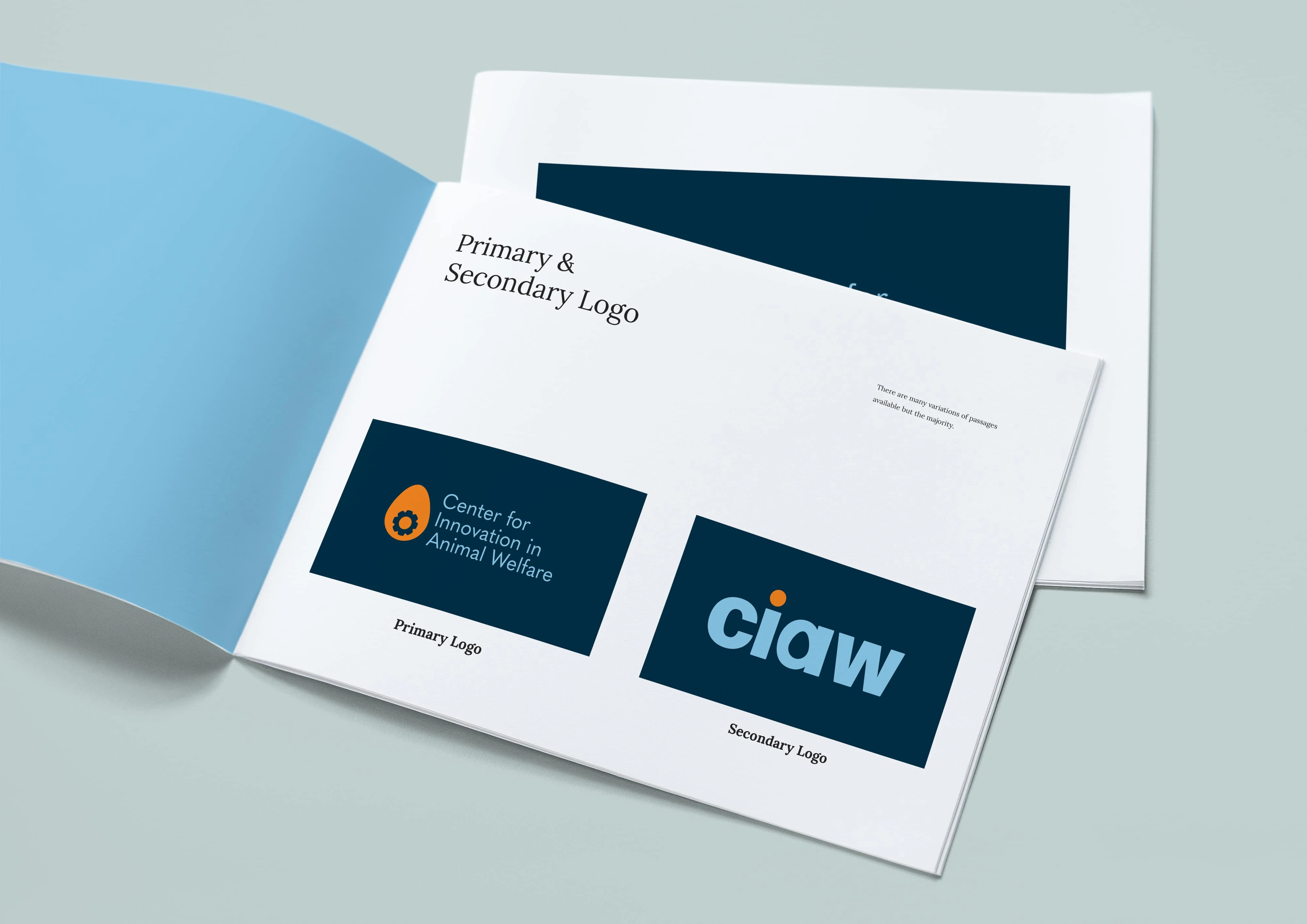 CIAW Brand Identity
