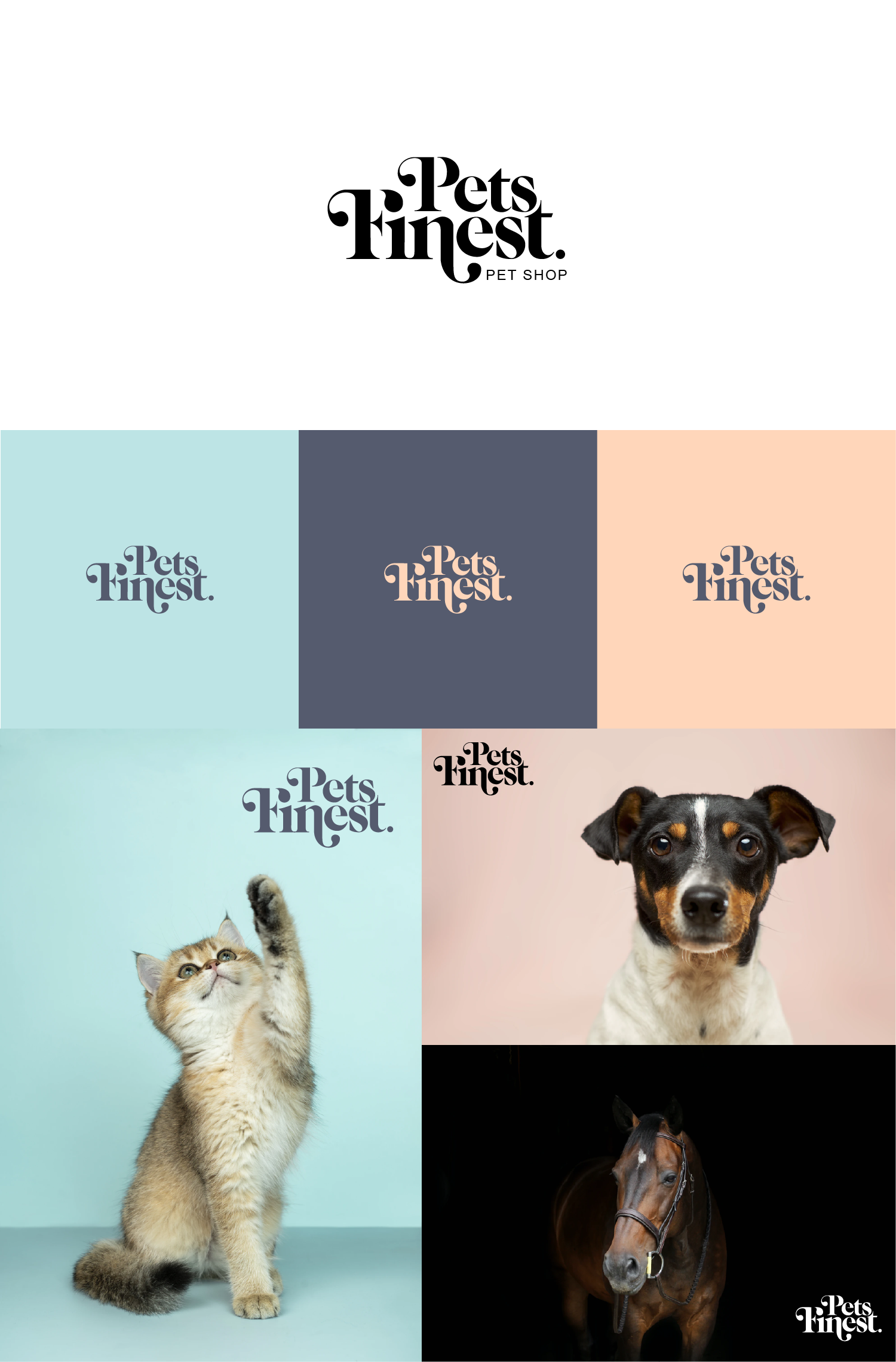 Premium Pet Care Identity