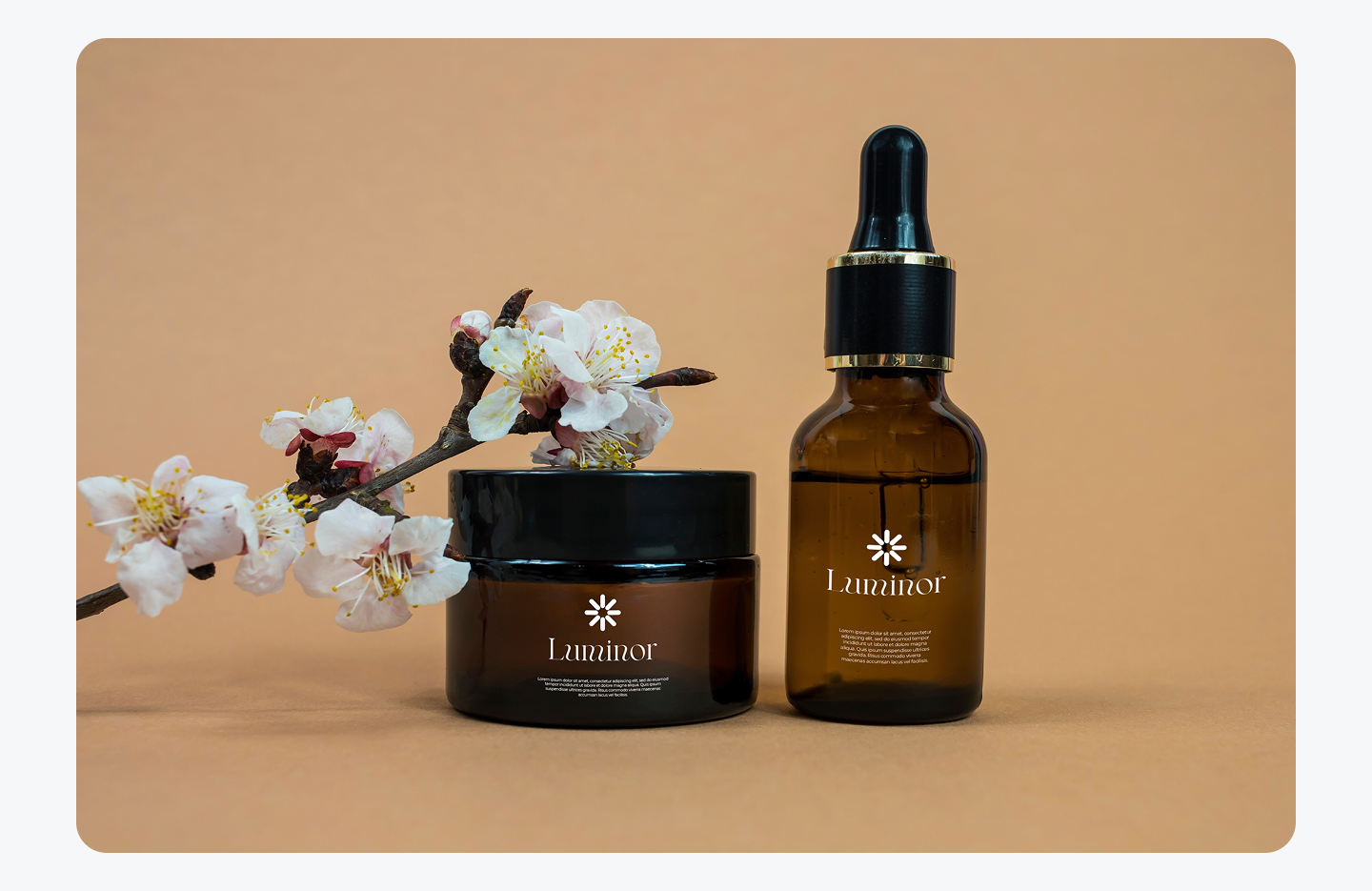 Example of Modern Skincare Brand Identity Design