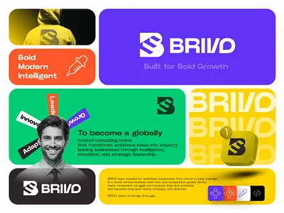 BRIVO — Business Consulting Brand Identity behance branddesigner brandidentity branding brandstrategy businessconsulting businessgrowth consultingfirm creativeagency designinspiration dribbble entrepreneurship graphicdesigner logodesign marketingstrategy minimalbranding modernlogo startupbusiness strategy visualidentity