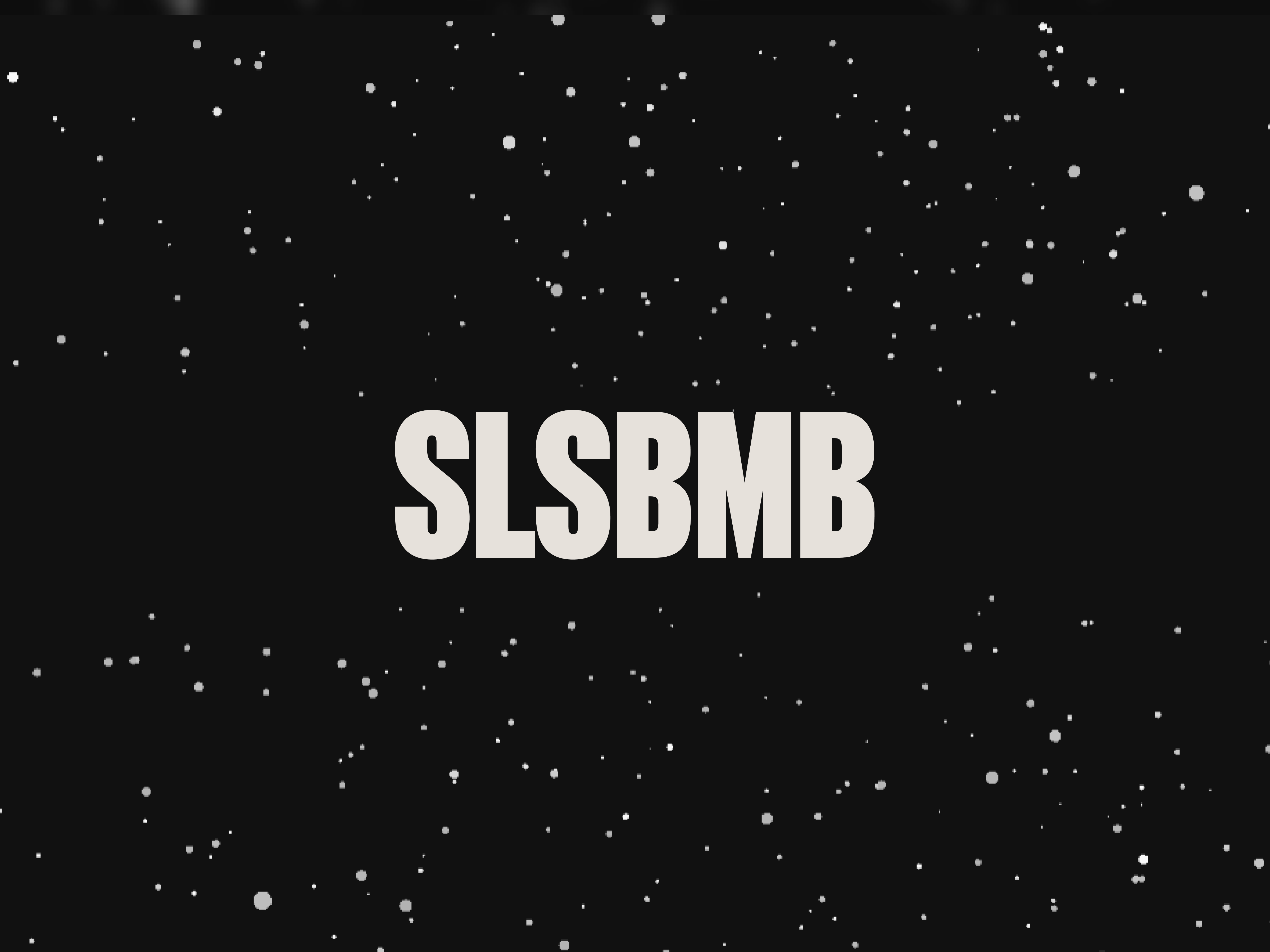 SLSBMB Website 3d animation branding design development graphic design illustration logo ui ux vector