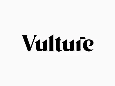 Vulture branding design flat graphic design logo logo design minimal typography vector