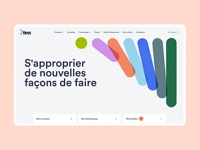 Tiess - website brand identity branding ui visual identity website