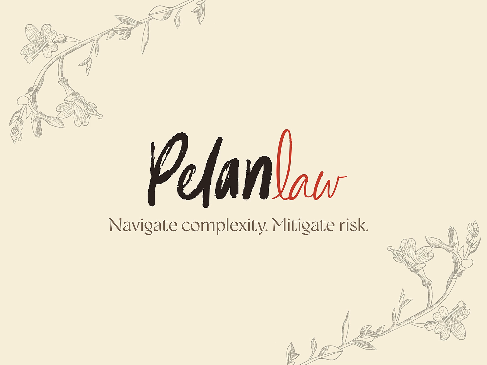 Example of Pelan Law Branding