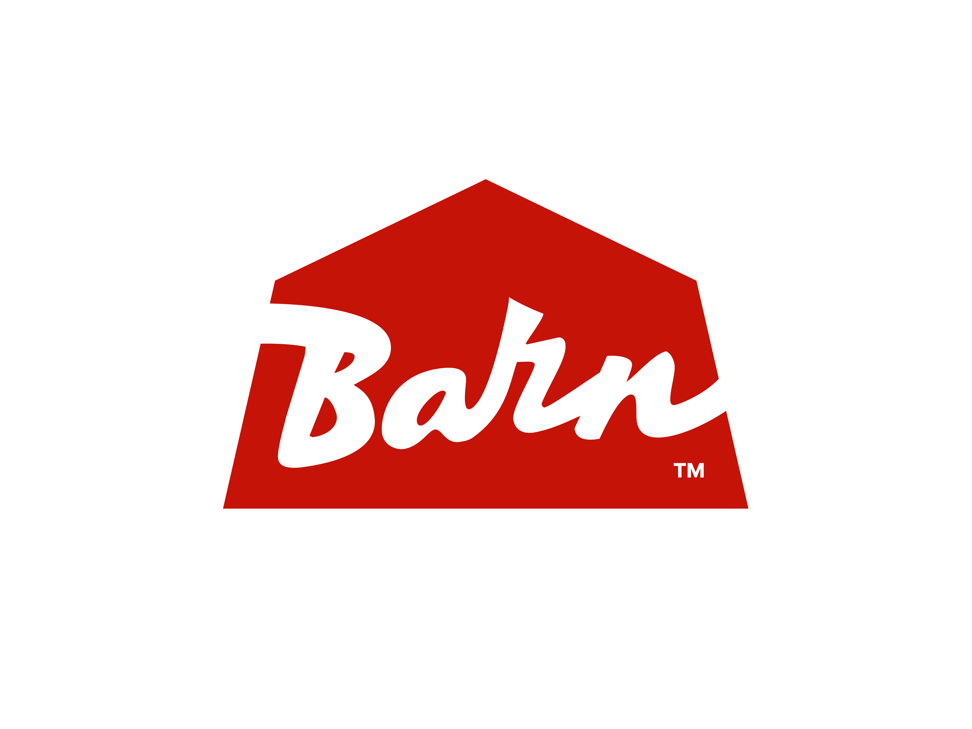 Example of Barn™