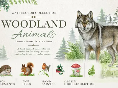 Woodland Birds and Animals Watercolor Set bird illustration commission custom illustration drawing hand drawn illustration nature illustration packaging design png clipart set watercolor illustration wildlife illustration woodland animals