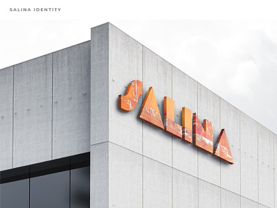 Logo Design brandbook design graphic design logo minimal salina sals typography
