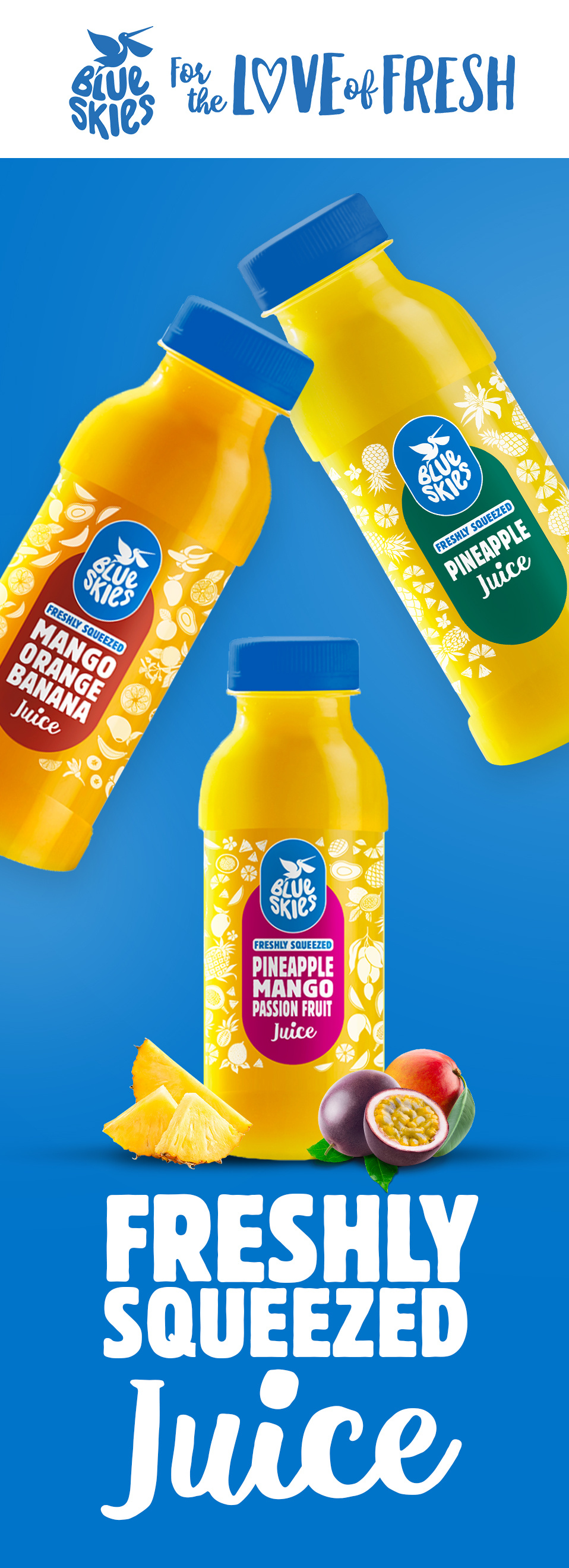 Blue Skies Display Fridge Branding branding graphic design logo motion graphics