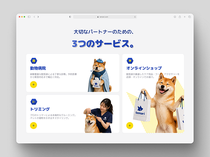 Temari – Desktop Website UI UX for Pet Care