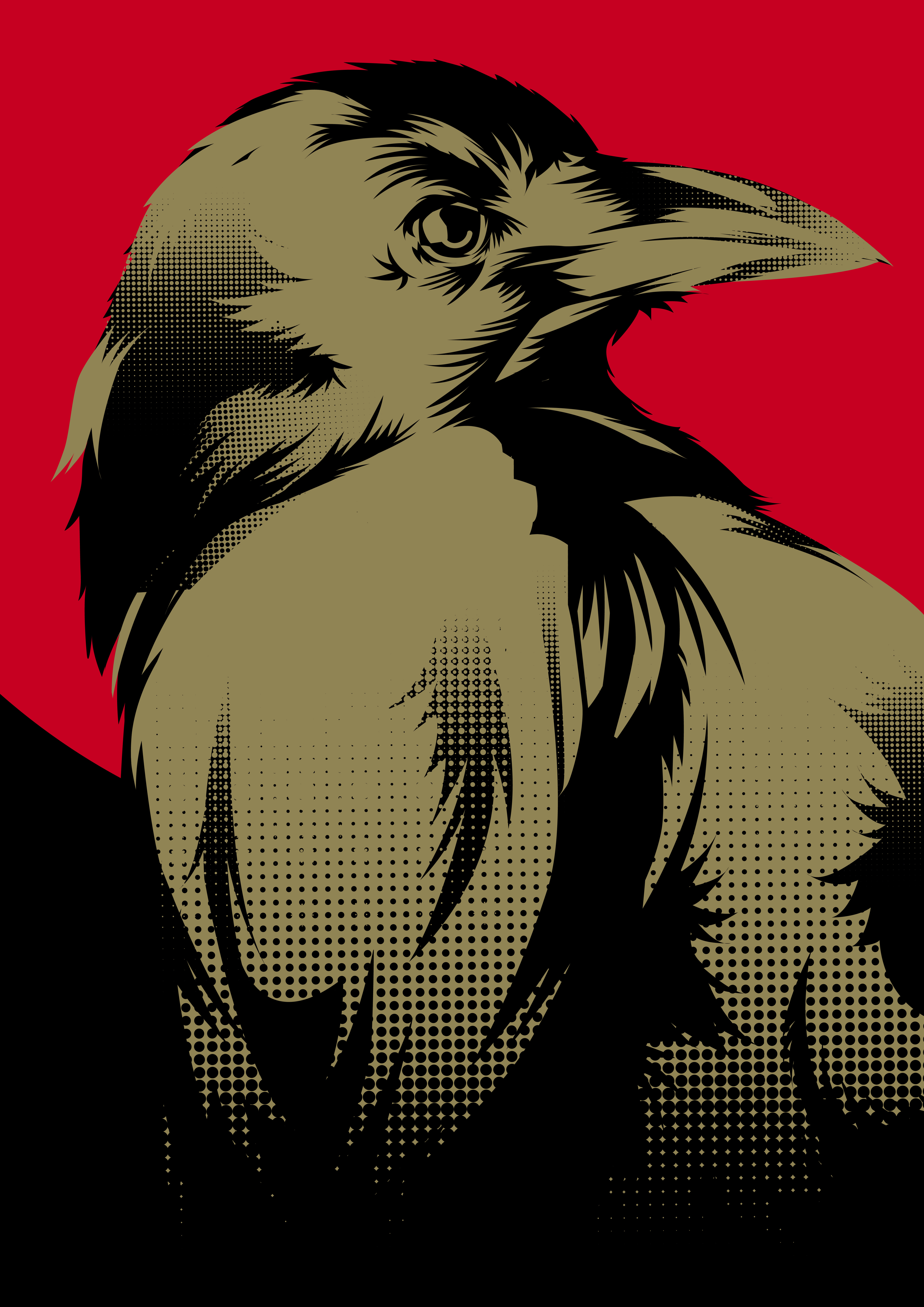 Little crow