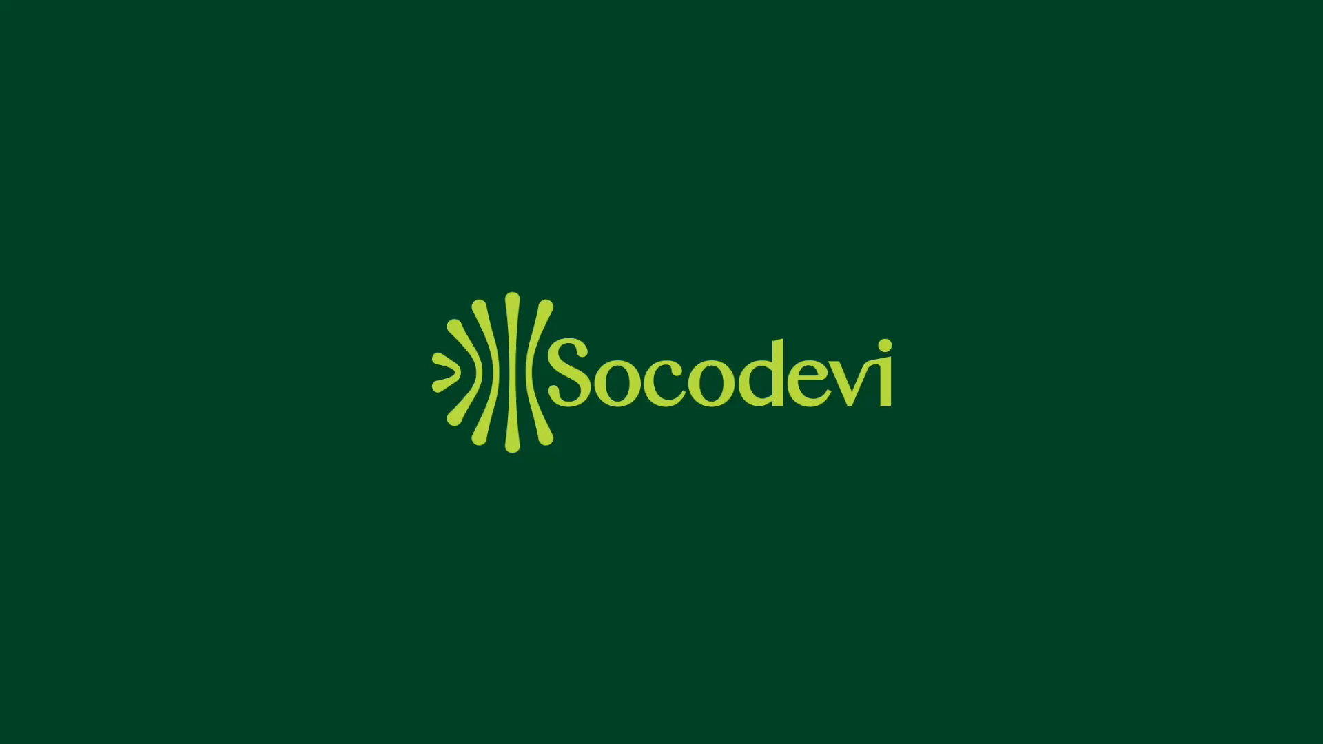 Socodevi - Branding