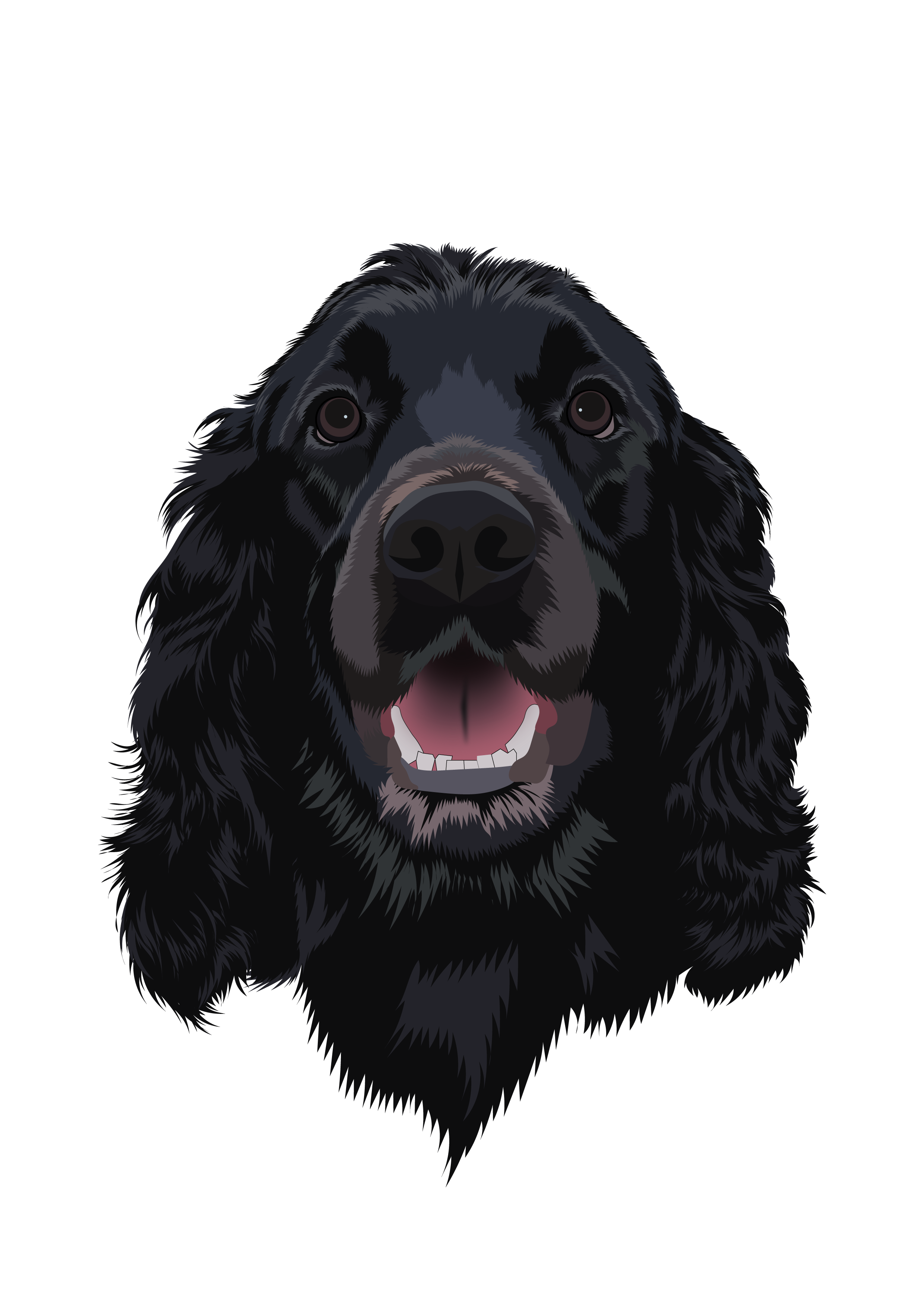 Black Cocker Spaniel adobeillustrator animal animalillustration blackdog branding characterdesign cockerspaniel digitalart dog dogillustration dribbble graphicdesign illustration mascot pet petportrait portrait spaniel vector vectorart