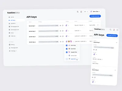 API key management access control access limits admin panel api key management api management branding design developer experience enterprise ui graphic design responsive ui saas ui web