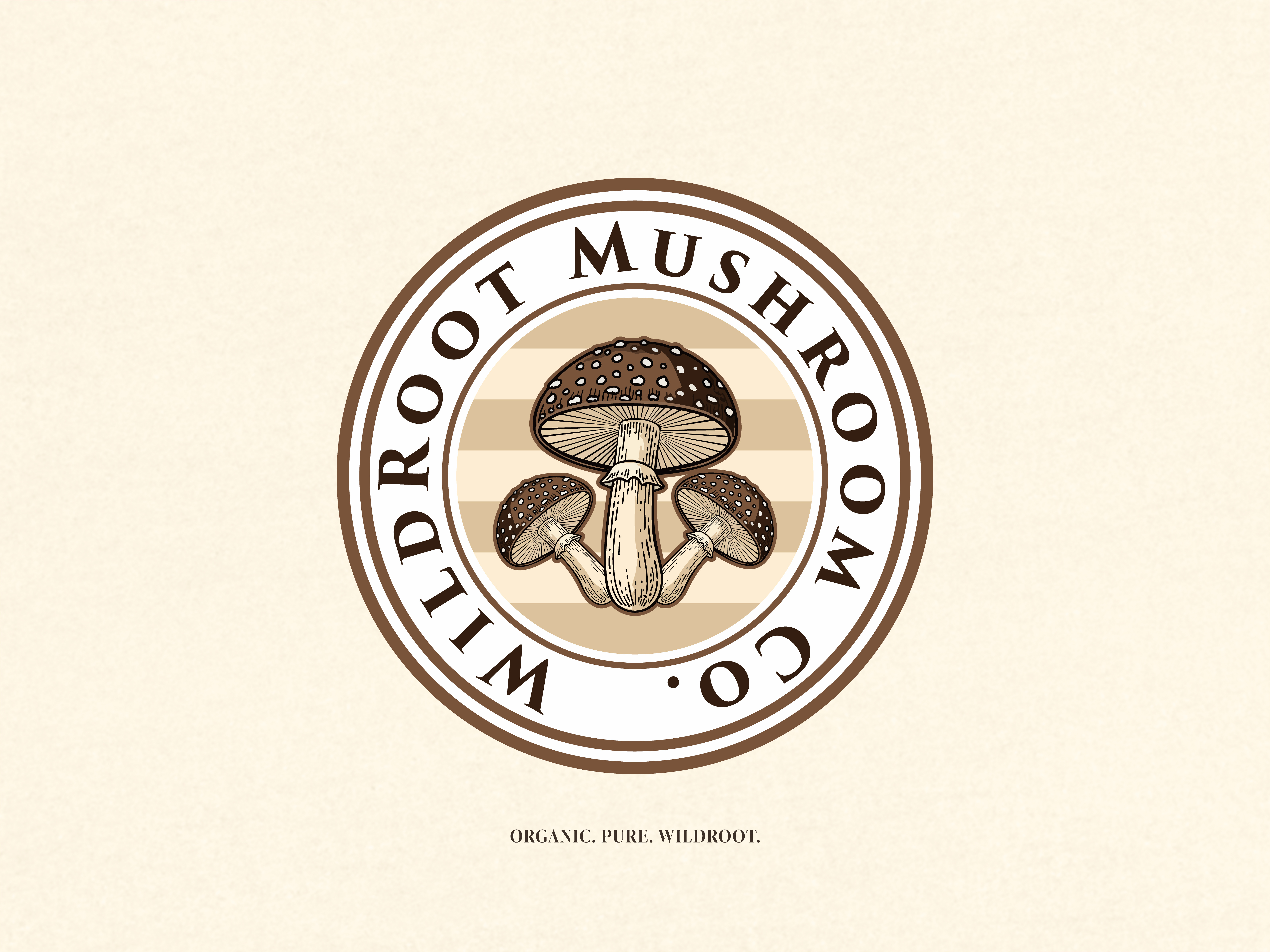 Example of Minimalist Logo & Brand Identity Design