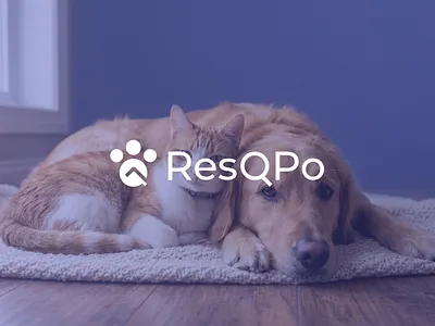 ResQPo brand identity branding graphic design logo logo design logo designer minimal modern visual identity