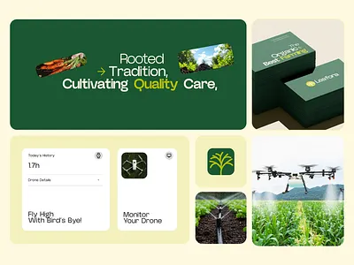 Leafora Branding – Fly High with Bird's Eye agriculture branding agriculture identity agriculture logo agritech agro design brand design brand identity branding branding logo firm logo food brand green brand identity logo logo design logo maker logos logotype organic visual identity