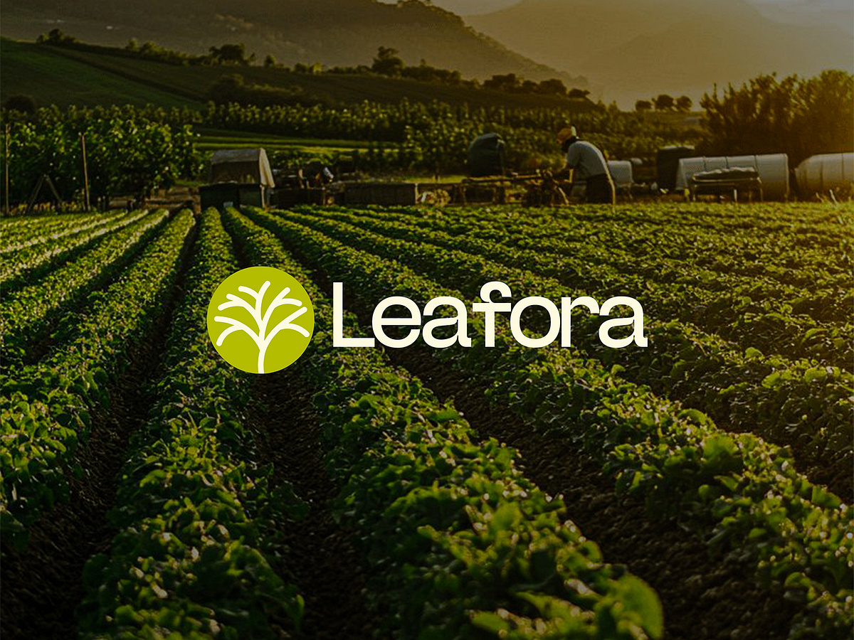Leafora Branding – Fly High with Bird's Eye Image 0