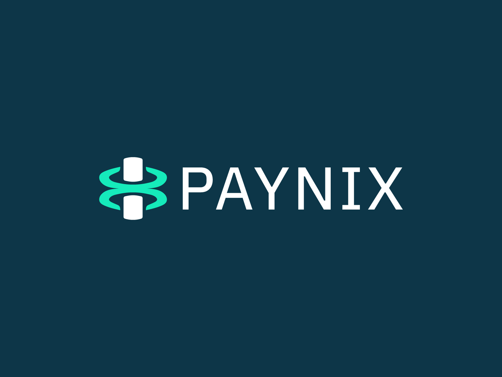 Paynix — Logo Design