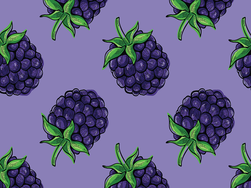 Fresh Blackberry Fruit Pattern antioxidant berry blackberry branding design drink energy flavor fresh fruit hand drawn health healthy illustration packaging pattern raspberry repeat pattern summer surface design