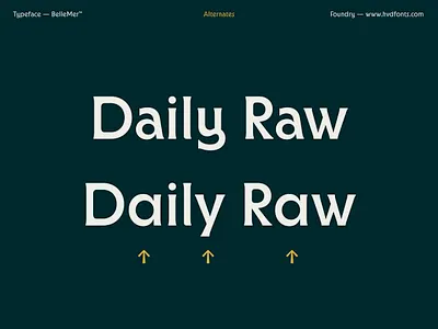 BelleMer — Type Family alternates branding font fonts hvd stylistic set typedesign typeface typography