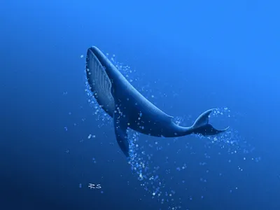 Blue Ascend blue illustration blue whale creative graphic design illustration minimal ocean symbol whale illustraation