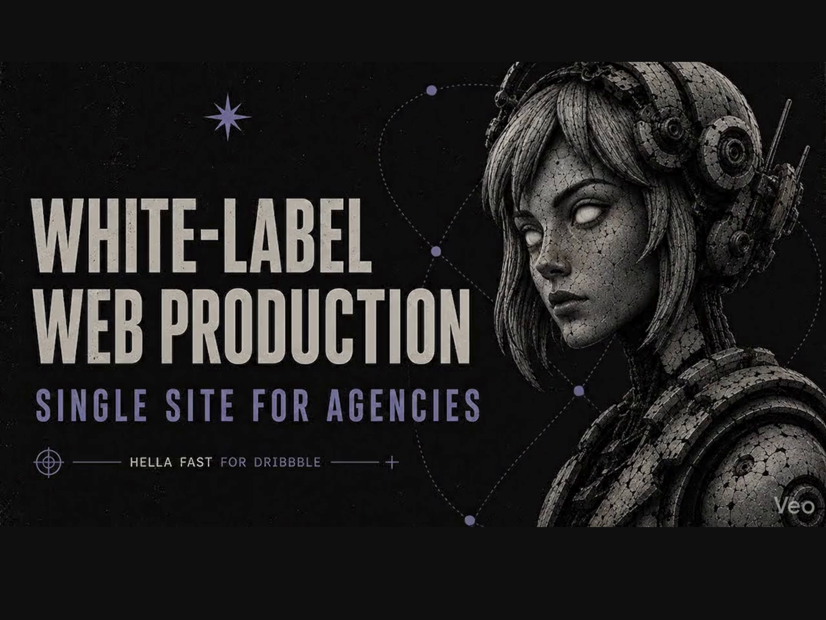 Example of White Label Landing Page For Agencies