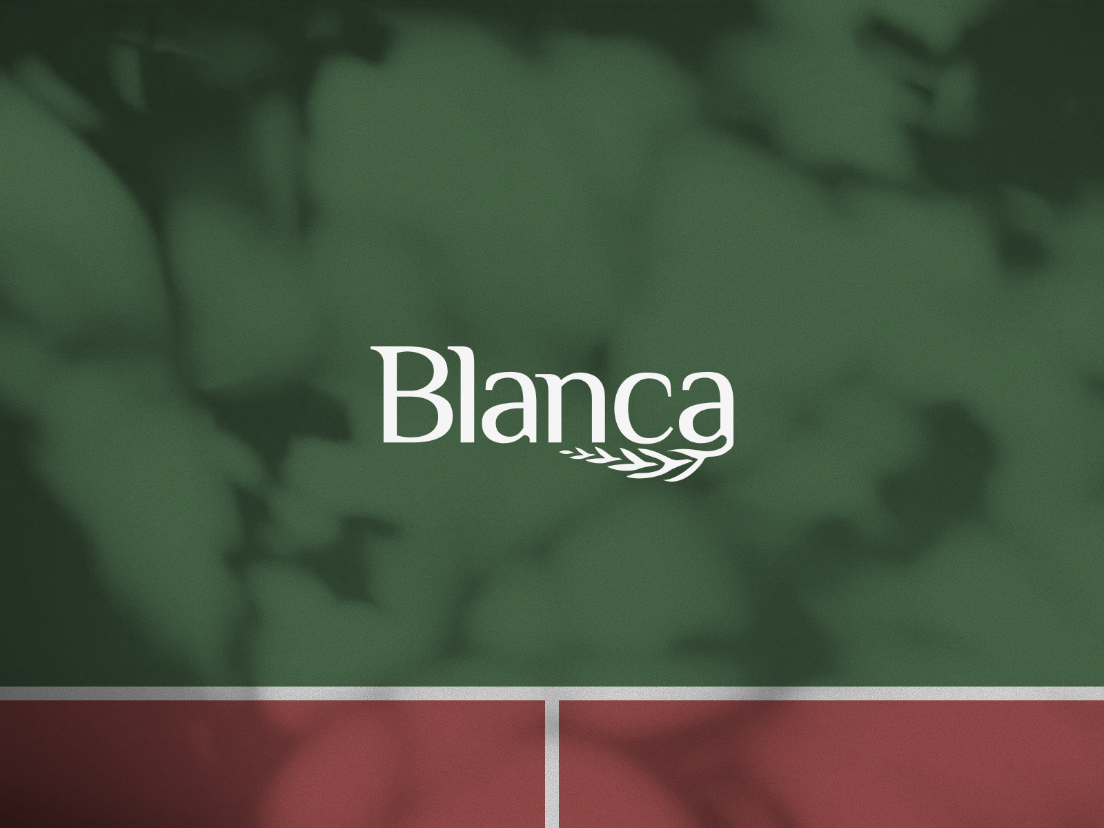 Example of Logo & Full Brand Identity Package