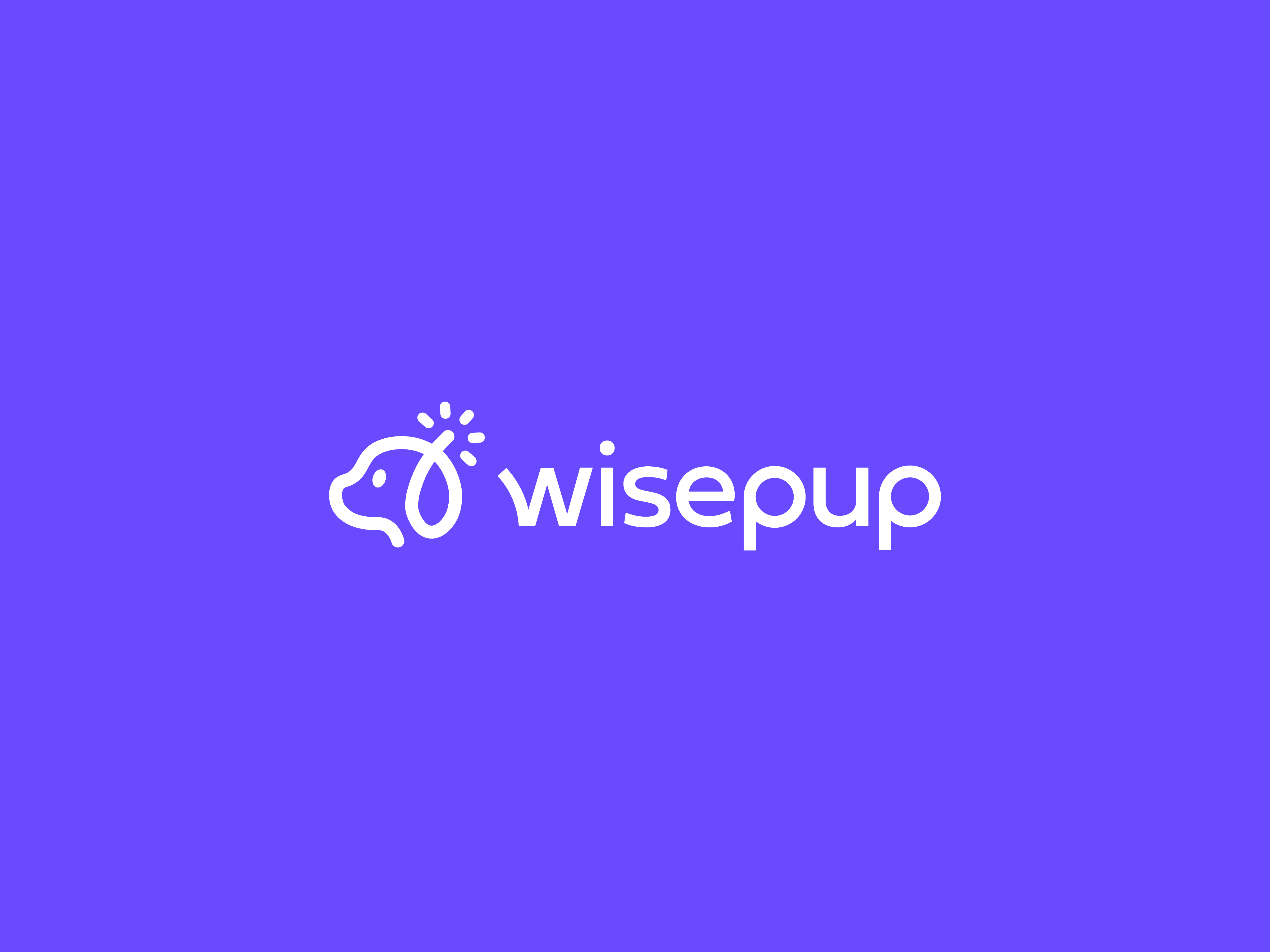 WisePup • Brand Identity