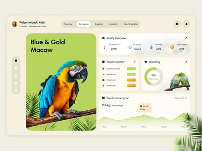 Exotic Bird Aviary — Dashboard UI dashboard exotic birds ui ux web design