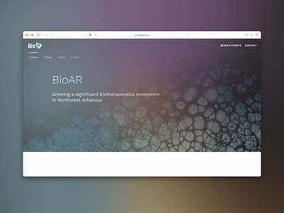 BioAR - Brand System and Website Design branding design logo ui website