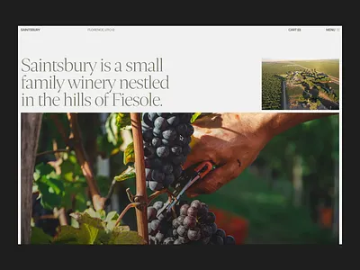 Saintsbury (UI Animation) 3d animation branding design graphic design grid illustration layout logo motion graphics typo typography ui ui elements uidesign ux web web design