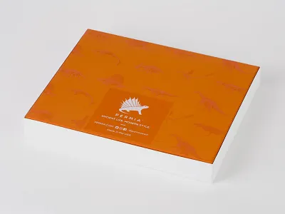 Gift Box Design branding colorful colors design dinosaurs gift box graphic design illustration logo packaging design packaging pattern paleontology prehistoric animals print print ready spot uv vector