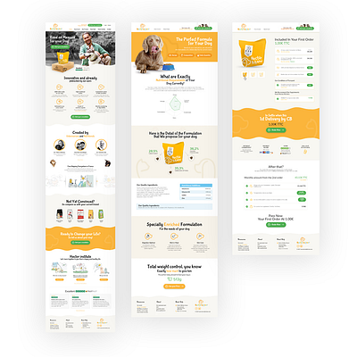 Pets Food Web Design branding graphic design ui