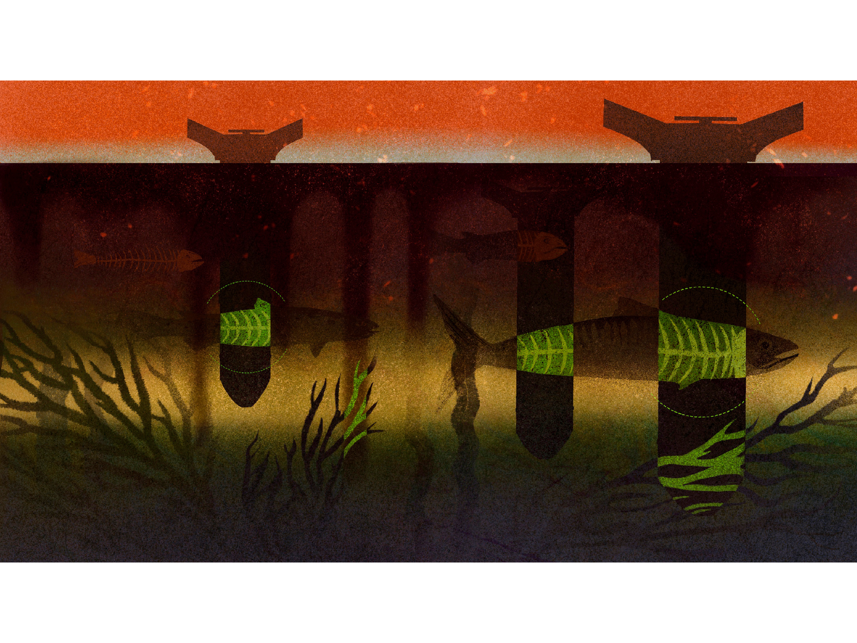 Editorial Illustration for WIRED | War’s Impact on the Ecosystem