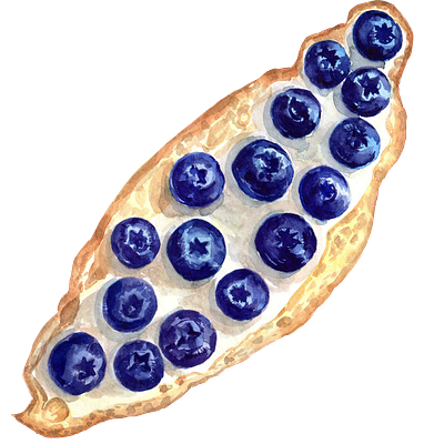 Watercolor bruschetta with berry berry branding bread bruschetta design food illustration logo tasty watercolor