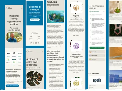 Pond Foundation mobile screens carbon climate change design ecology fundraising grit grunge landing page mobile screens natural nature ngo non profit organic organization sustainability ui ux web design website