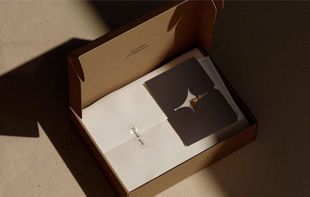 FAWE — Brand Identity