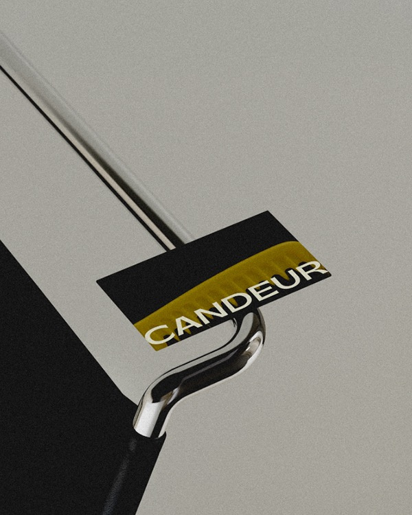 CANDEUR — Hair Care Brand Identity brand design branding design graphic design illustration logo typography