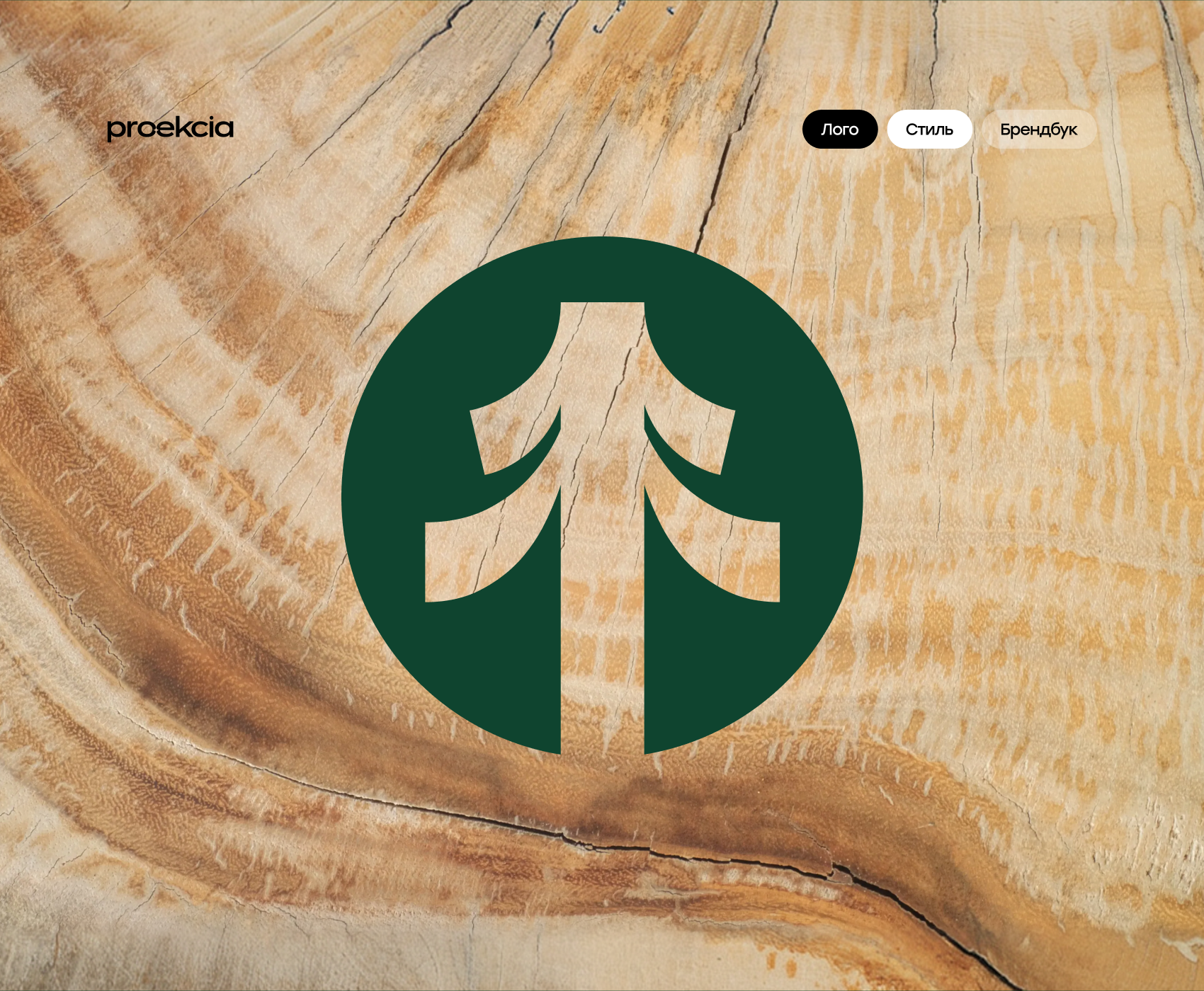 Лого та брендбук для Thehrdwood animation branding graphic design logo